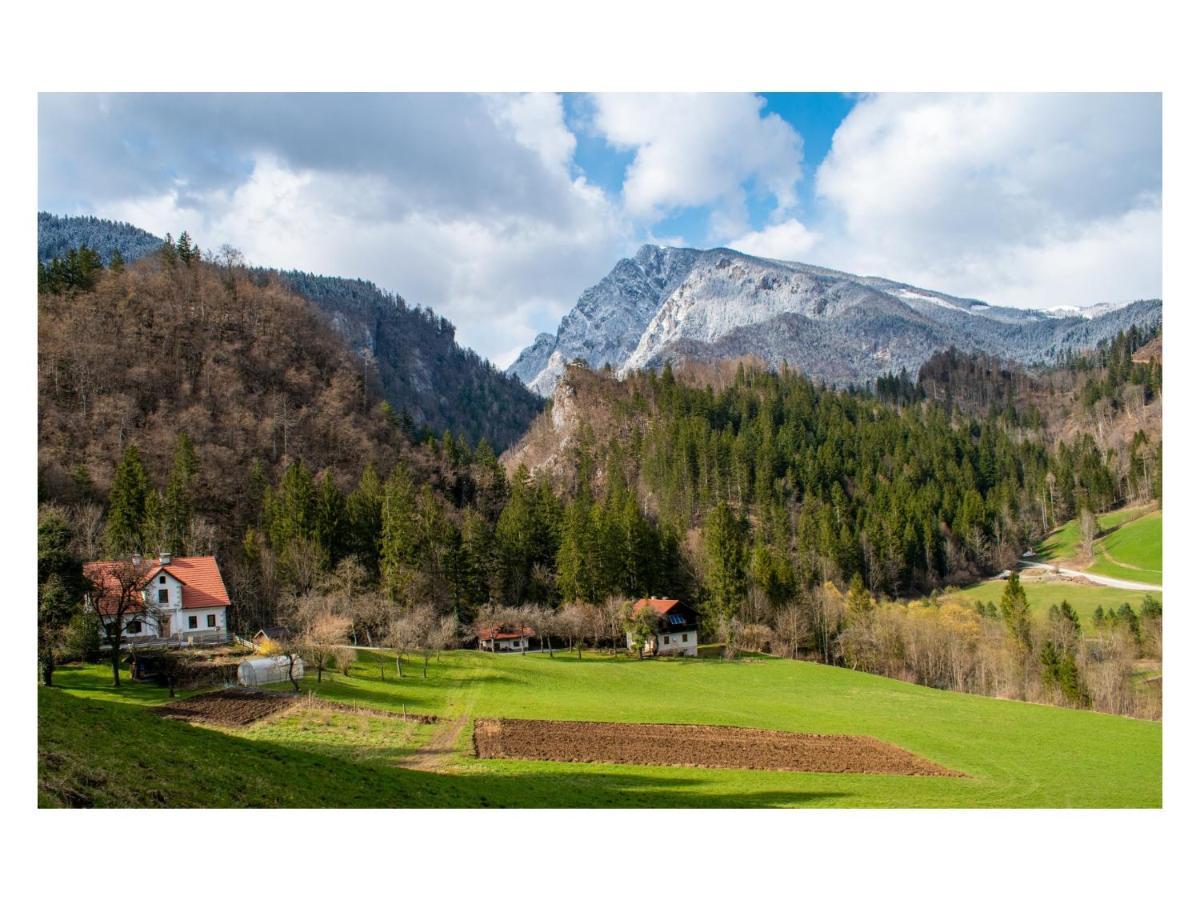 Вилла Turisticna Kmetija Stoglej Luce Экстерьер фото