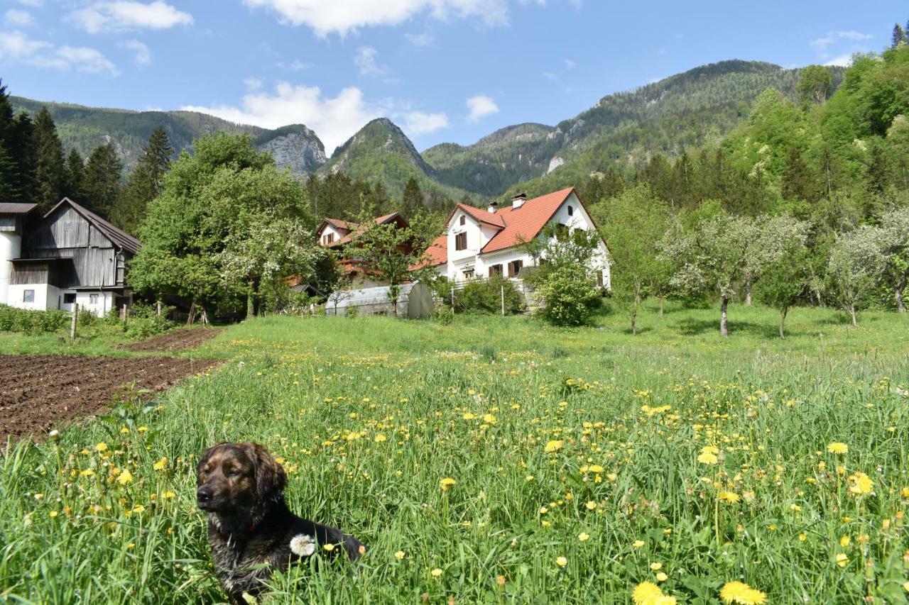 Вилла Turisticna Kmetija Stoglej Luce Экстерьер фото